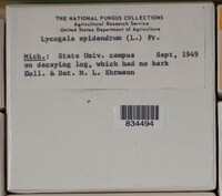 Image Associated With the Occurence